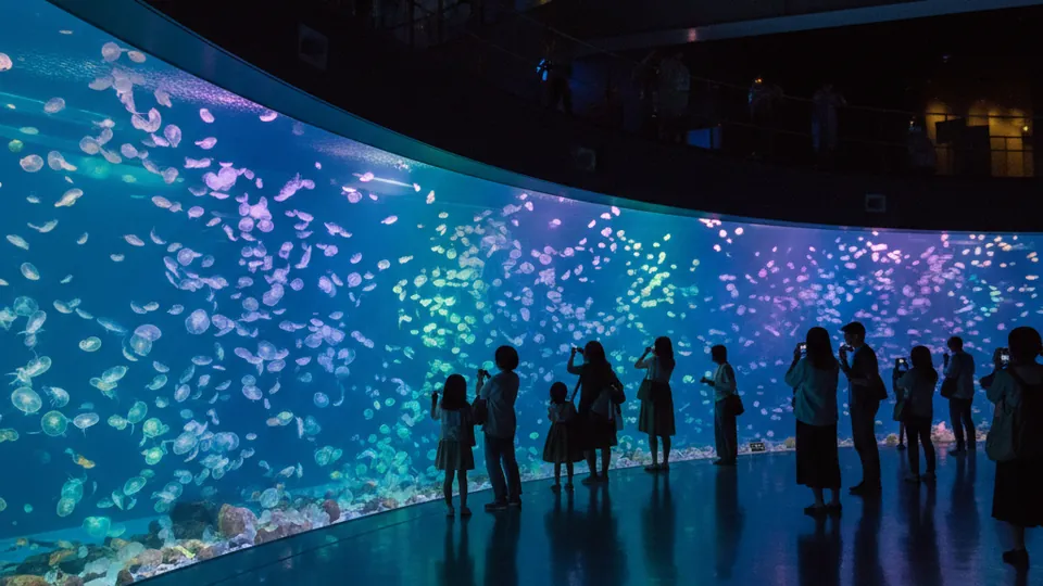 Sumida Aquarium